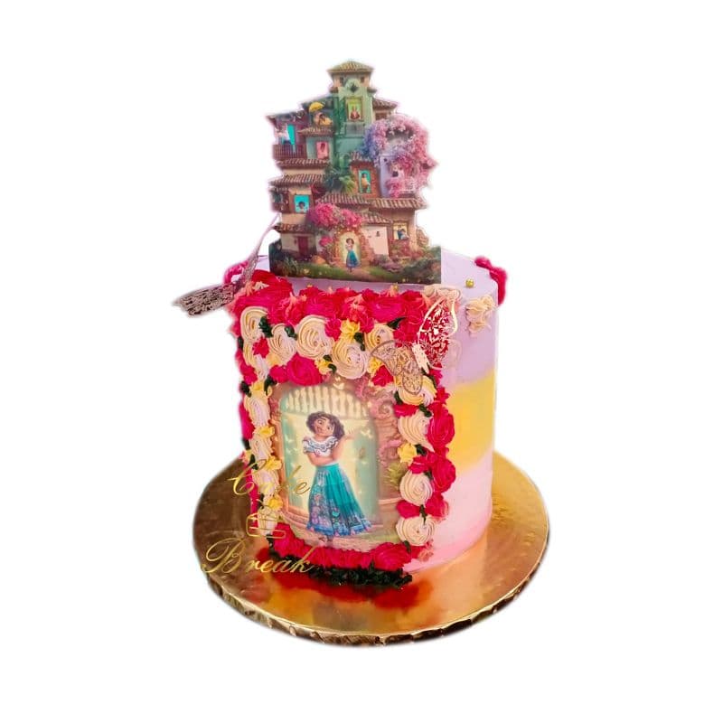 Encanto Cake view 2