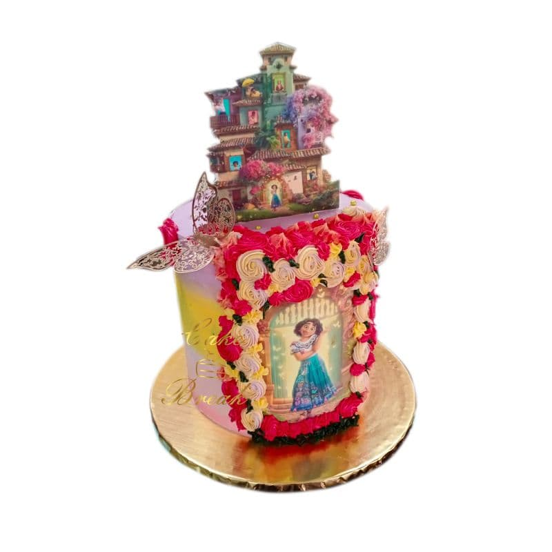 Encanto Cake view 3