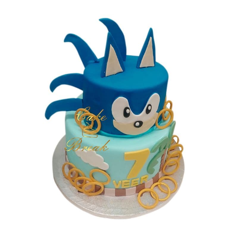 Hedgehog Cake view 3