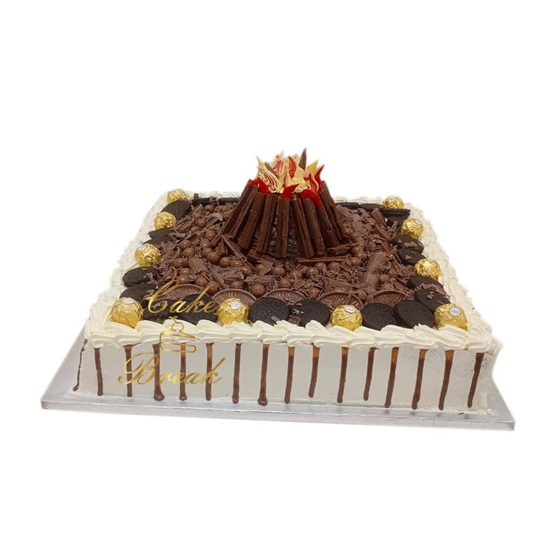 Bonfire Cake view 2